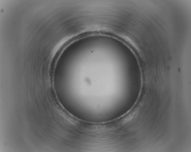 X0000076380927200610202035