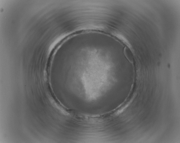 X0000076380928200610202035