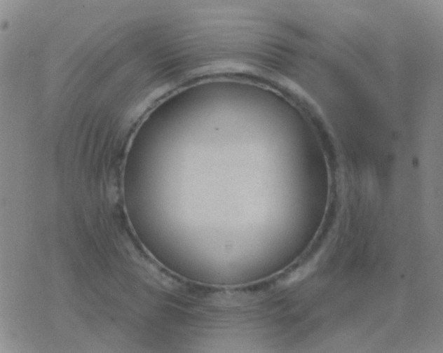 X0000076380929200610202035