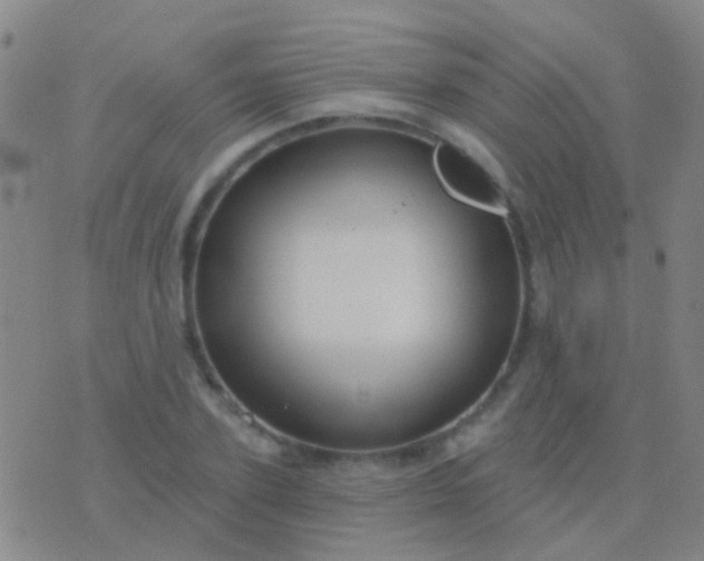 X0000076380931200610202035