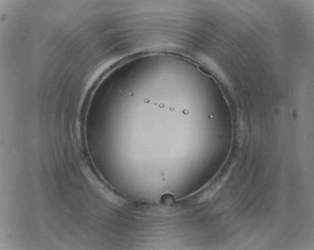 X0000076380932200610202036