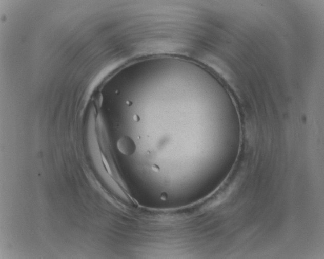 X0000076380933200610202036