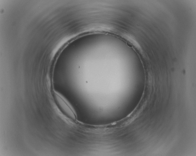 X0000076380936200610202036