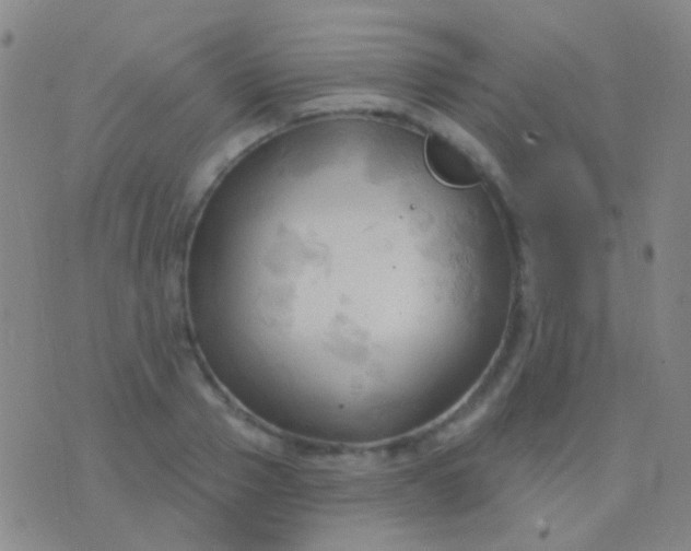 X0000076380937200610202036