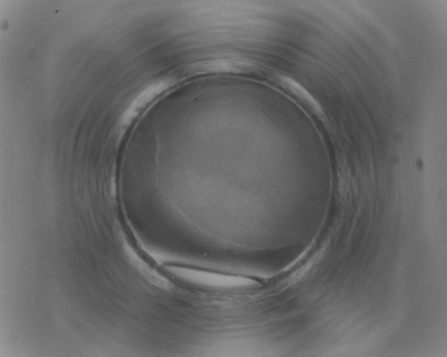 X0000076380938200610202036