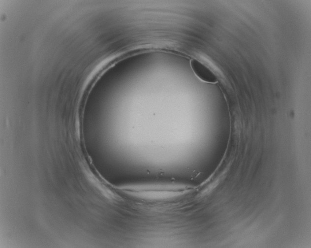 X0000076380940200610202036