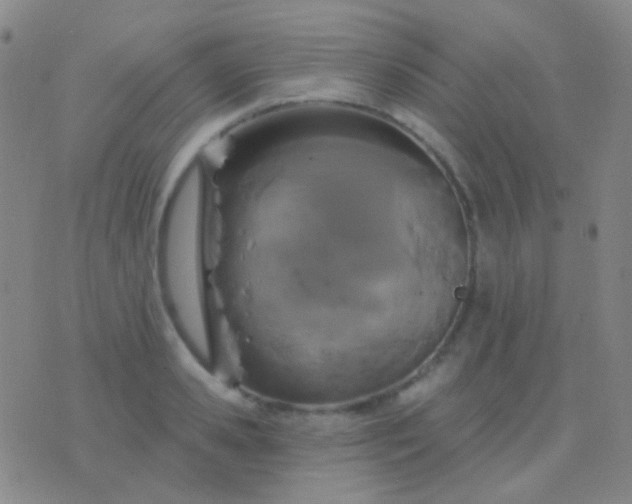 X0000076380941200610202036