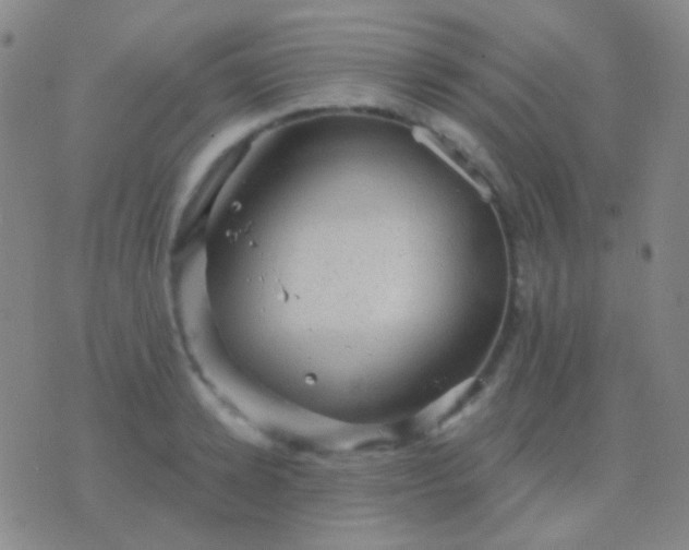 X0000076380942200610202036