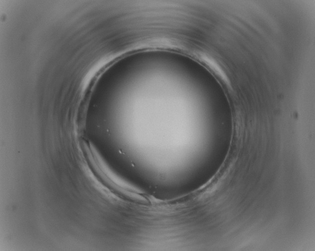 X0000076380944200610202036