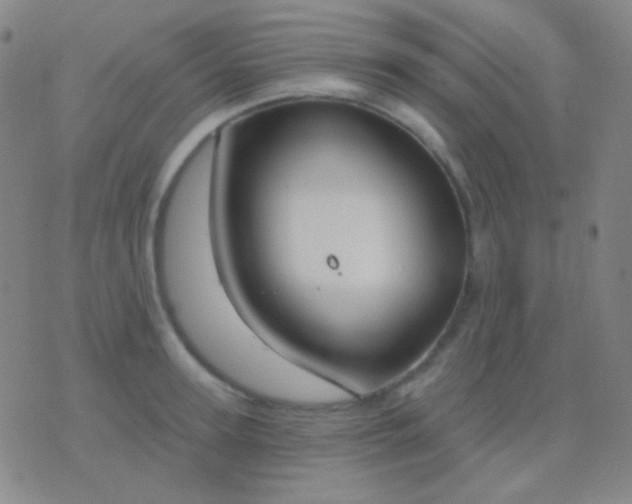 X0000076380947200610202036