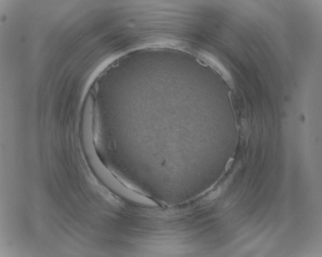 X0000076380948200610202036