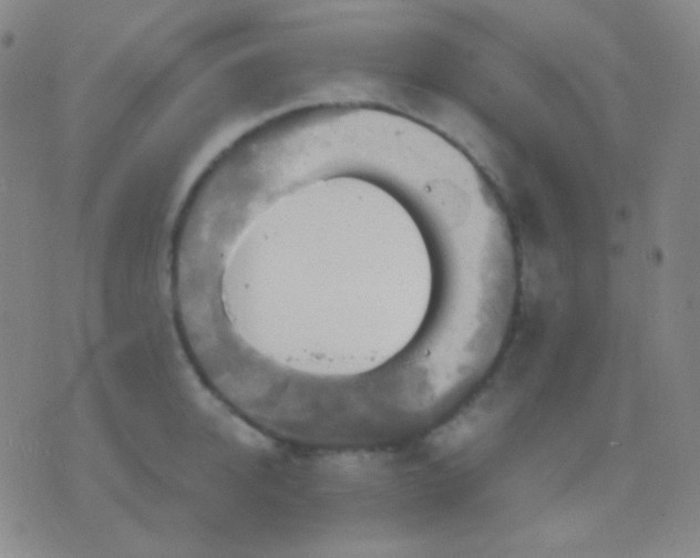 X0000076380950200610202036