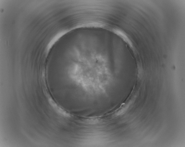 X0000076380952200610202036