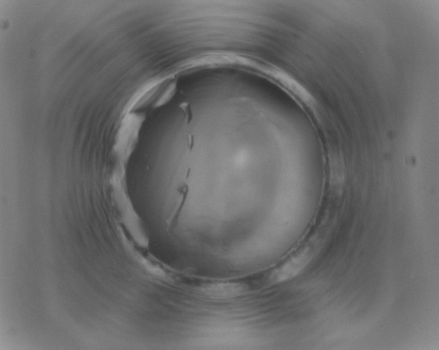 X0000076380953200610202036