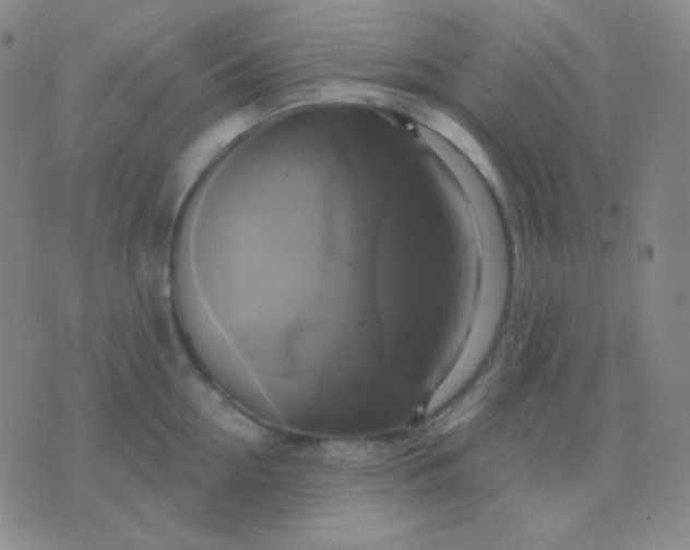 X0000076380954200610202036