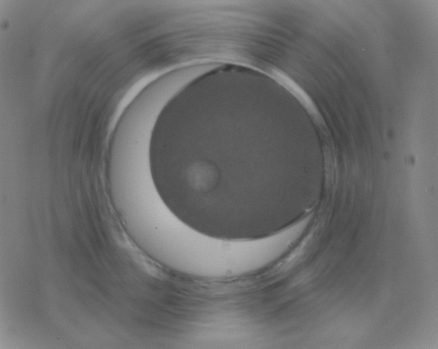 X0000076380956200610202036