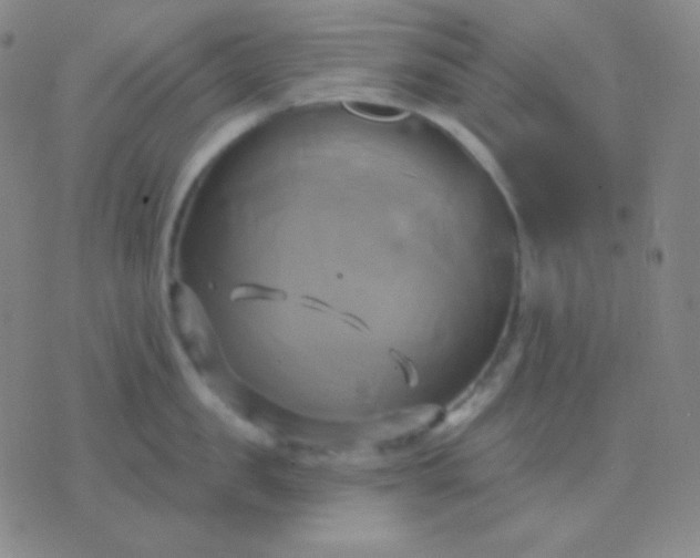 X0000076380957200610202036