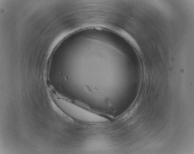 X0000076380958200610202036