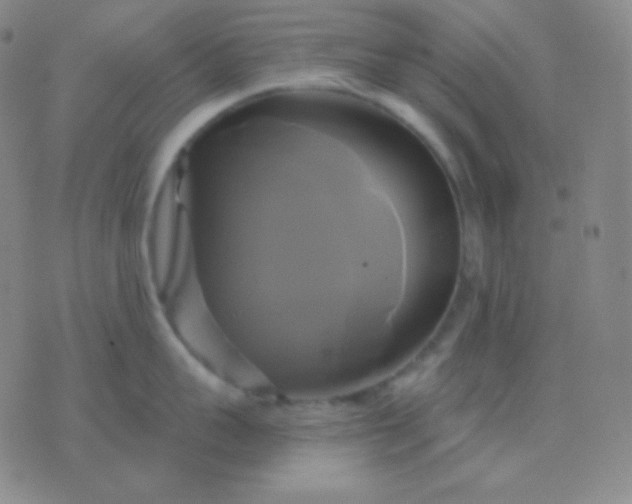 X0000076380959200610202036