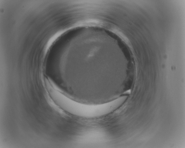 X0000076380960200610202036