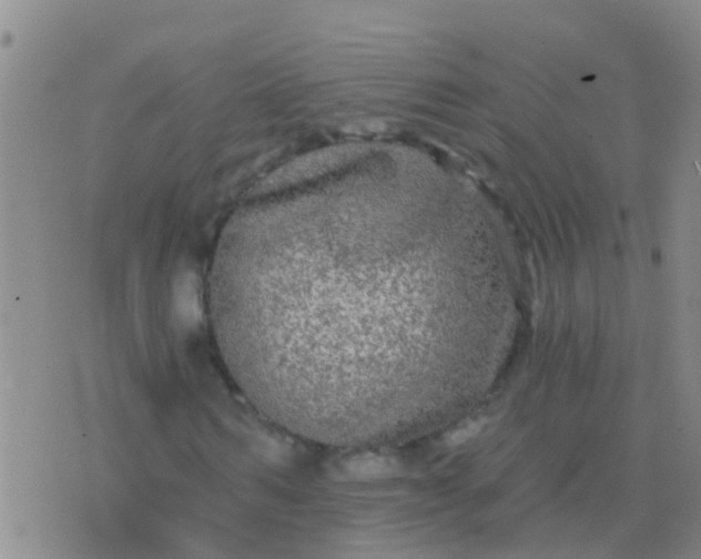 X0000076380962200610202035