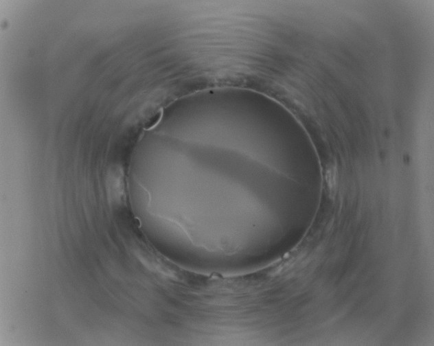 X0000076380963200610202035