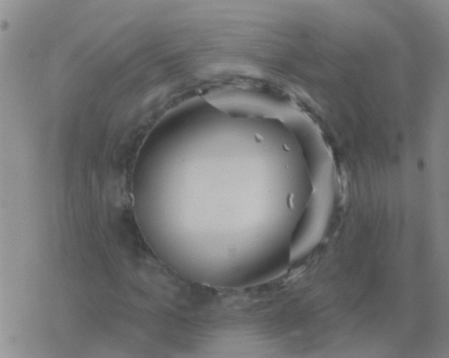 X0000076380965200610202035