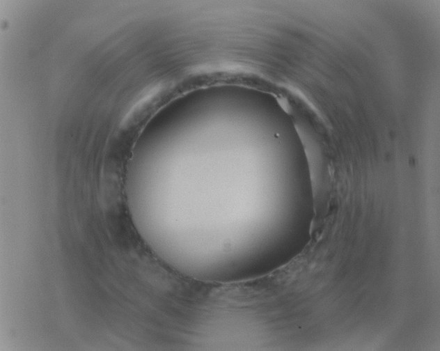 X0000076380967200610202035