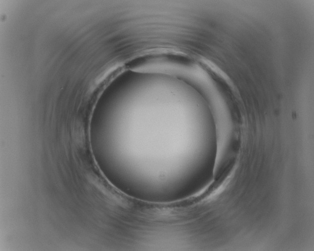 X0000076380969200610202035