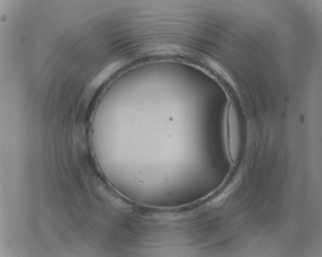 X0000076380970200610202035