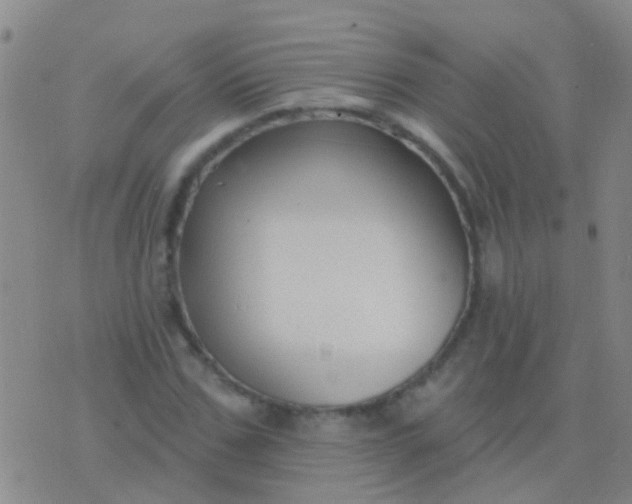 X0000076380971200610202035