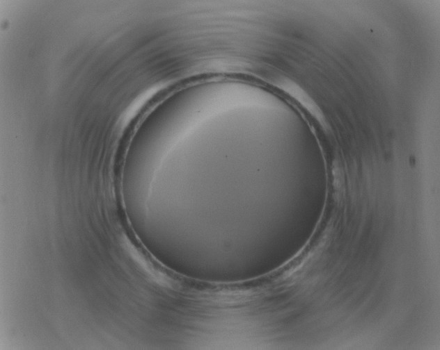 X0000076380972200610202035