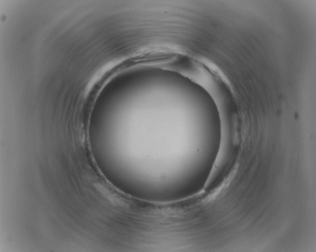 X0000076380973200610202035