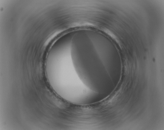 X0000076380975200610202035