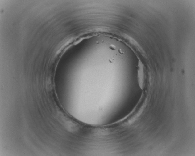 X0000076380977200610202035