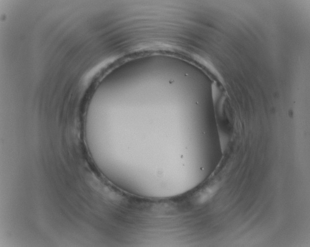 X0000076380979200610202035