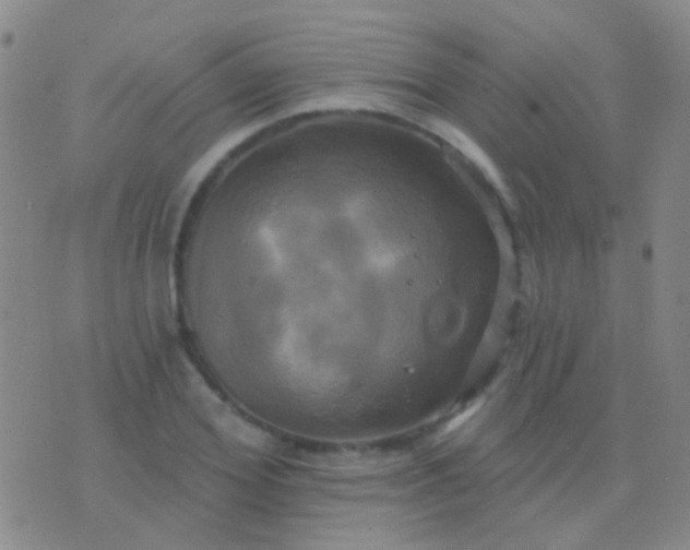 X0000076380980200610202035