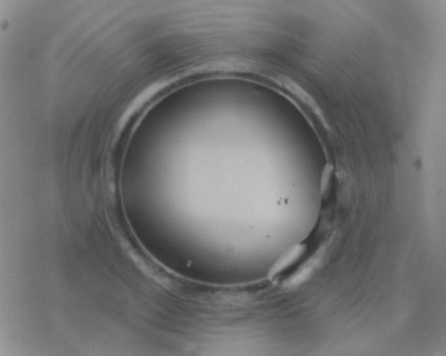 X0000076380981200610202035