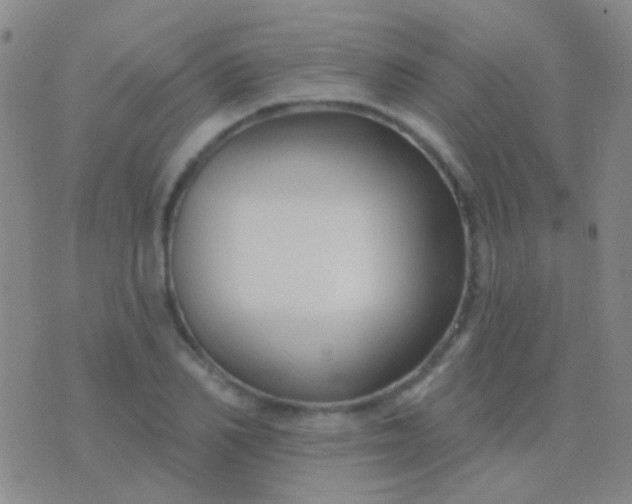 X0000076380982200610202035