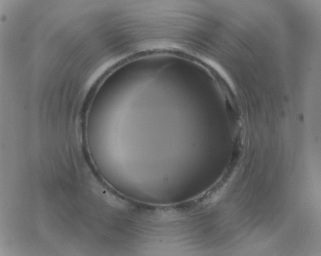 X0000076380983200610202035