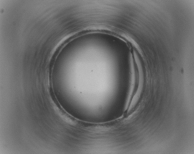 X0000076380984200610202035