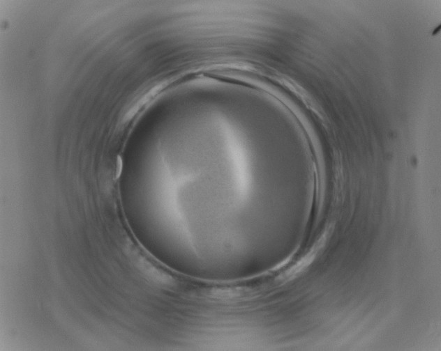 X0000076380985200610202035