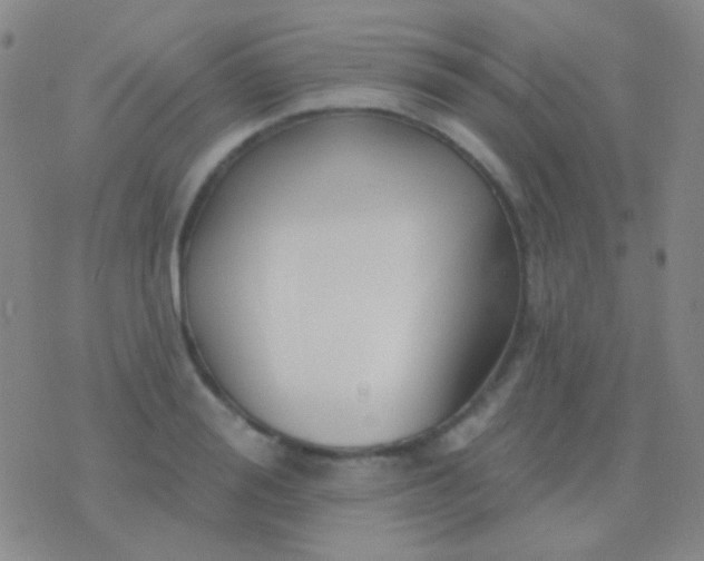 X0000076380988200610202035