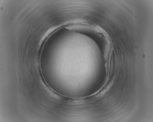 X0000076380989200610202035