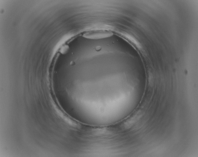 X0000076380990200610202035