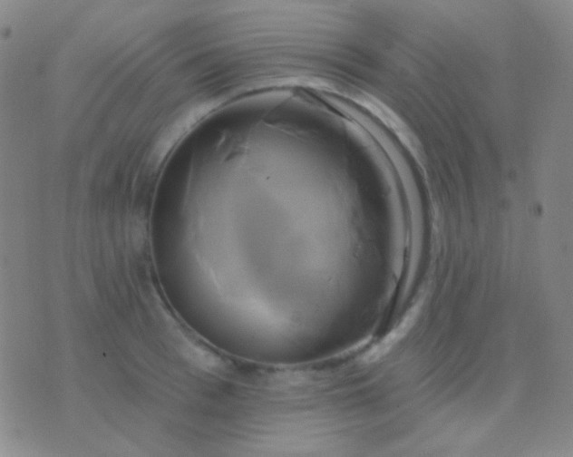 X0000076380993200610202035