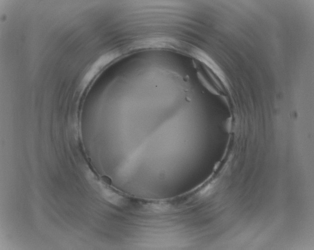 X0000076380994200610202035