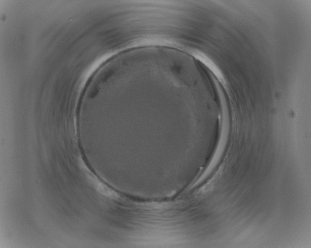 X0000076380996200610202035