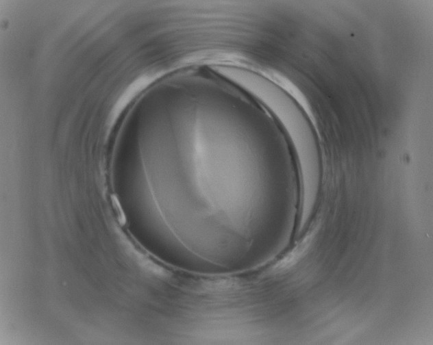 X0000076380997200610202035