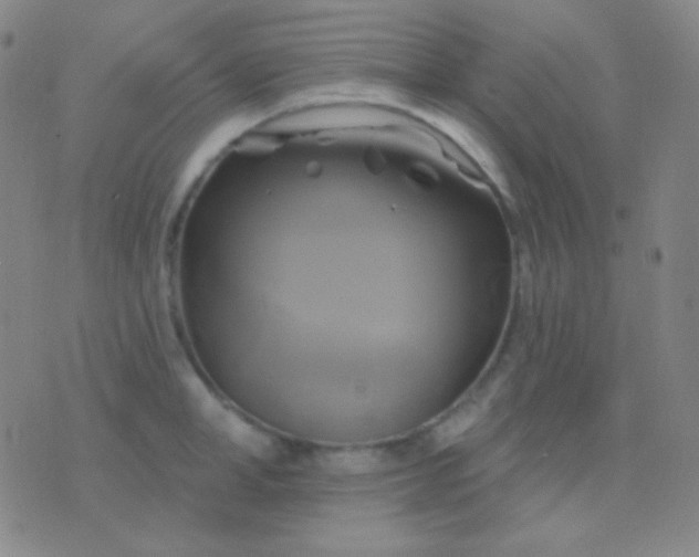 X0000076380998200610202035